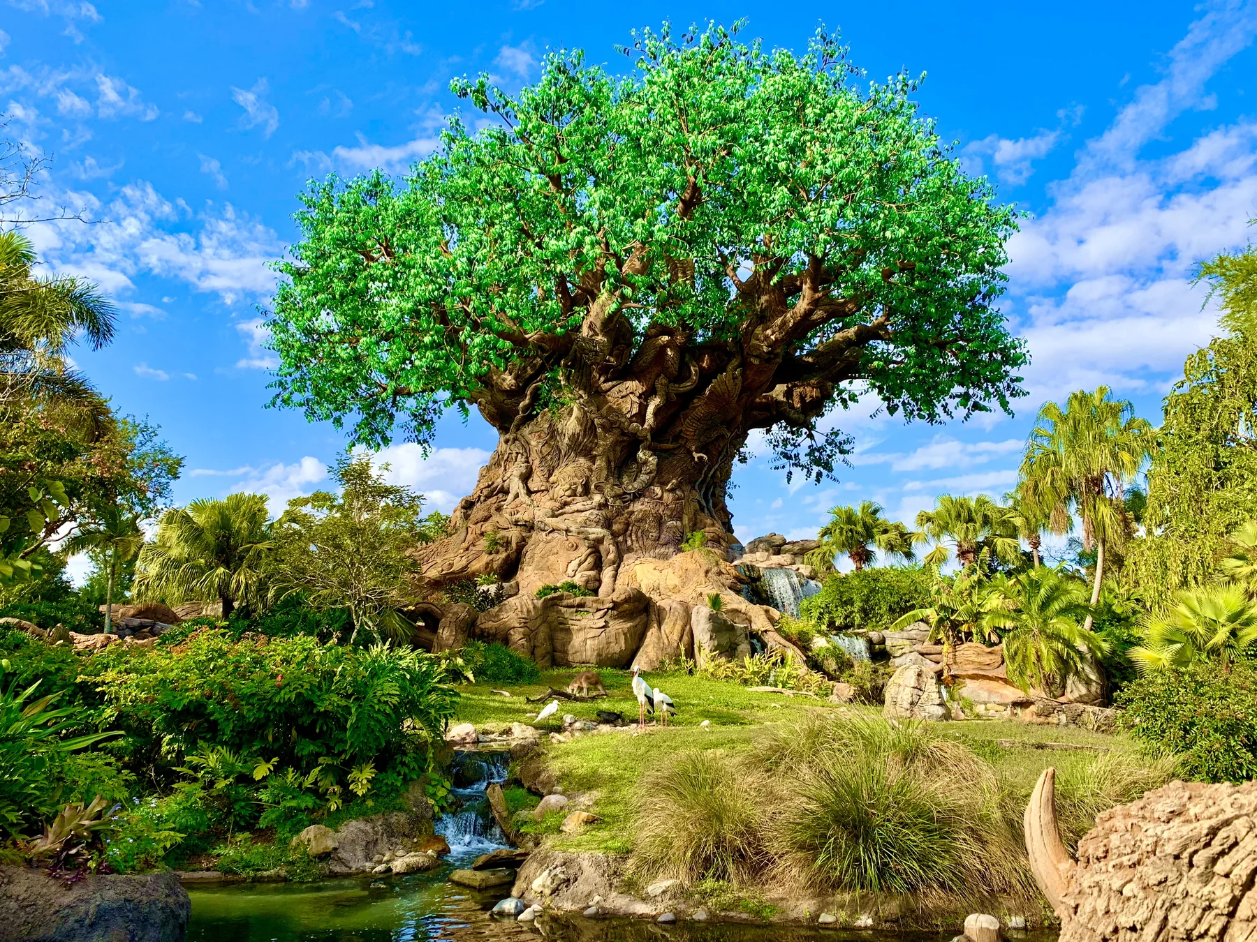 Tree of Life no Disney’s Animal Kingdom